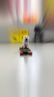 Skate art em floripa!!!! É hoje, no Moochacho. 🎨🛹