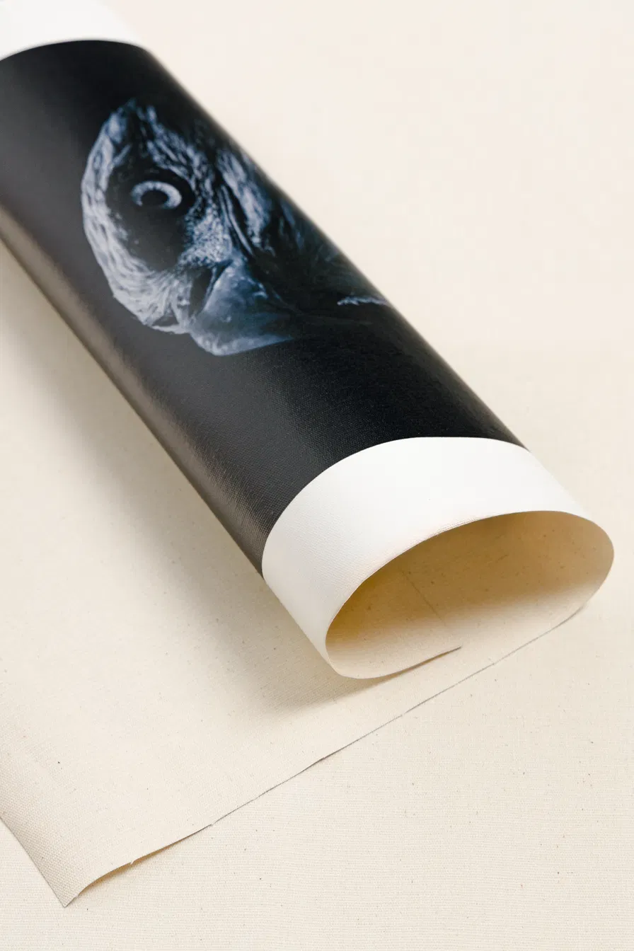 Impressão Canvas